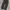 Dickies 1939RBK Carpenter Long Pants photo 3
