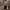 BANGKOK BROWN CROP TOP BIG SIZE  photo 1