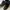 Paladium Boots Black photo 1