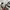 Kaos Jersey Manchester United 2020 2021 third version photo 5
