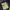 Gorpcore Windbreaker Pria green navy photo 3