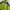 Gorpcore Windbreaker Pria green navy photo 2