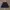 CocoLulu Blue Skirt photo 1