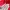 Tracktop New Balance Red ORIGINAL photo 5