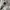 New Balance Jacket Logo Small NB photo 5