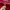 Tracktop New Balance Tapped ORIGINAL photo 7