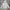 GAP Streetwear Y2K Hoody Pria Gray