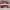 Adidas Gazelle Red Scarlet Original photo 3