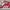 Adidas Gazelle Red Scarlet Original photo 1