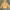 Converse Streetwear Y2K Hoody Pria Yellow