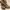 Paladium Medium Boots photo 1