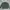 Polo Ralph Lauren Minimalist Casual Sweatshirt Pria Green