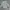 Crocodile Minimalist Casual Sweatshirt Pria multicolor photo 2
