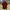 Adidas Y2K Sportswear Jersey Pria red photo 2