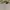 Nike Y2k LeBron James Center Logo Adult Tank photo 7