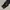 Pluviophile Baggy Jeans  photo 3