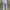 Courreges Paris Training Pants photo 7