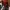 Eiger excelvior 75 L Red photo 3