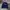 Crewneck Dickies velvet photo 1