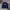 Crewneck Dickies Velvet