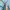Tracktop Fred Perry tapped contras ocean blue photo 2