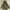In The Attic Avant Garde Fur Coat Pria Green Brown