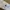 open pre order airpods max  photo 5