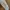 open pre order airpods max  photo 2