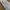 open pre order airpods max  photo 4
