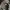 Sweather Crewneck Naiki Tech Basic  photo 2
