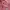 tracktop kappa photo 1