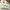 Fred Perry Casual Polo shirt Pria white green photo 3