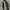 IF SIX WAS NINE Y2K Goth Belt Wanita black photo 3