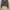 NEW oneset crop sweeter grey bkk photo 2