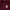 Top Ten Casual Hoody Pria burgundy photo 4