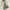 Unknown Retro Washed Baggy Jeans photo 5