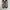 Sneakers Nike Airmax 270 crimson tint photo 3