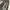 Y2K Billabong Black Washed Jorts Pants photo 2