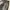 Y2K Billabong Black Washed Jorts Pants