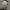 Carhartt Streetwear Minimalist Leather jacket Pria white gray photo 3