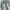 Y2K Blue Washed Cargo Jorts Pants