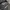 Ransel photo 6