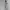Adidas Streetwear Casual shoe Pria white photo 4