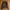 Teenie Weenie - Faux Leather Jacket photo 4