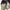 Birkenstock Kyoto 39 photo 5