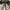 Birkenstock Kyoto 39