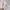 Y2K Coquette Cardigan Wanita white photo 3