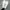 ADIDAS SUPERSTAR BLACK WHITE SECOND 43 photo 4