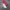 AIR JORDAN 1 MID CLOT X FEARLESS SECOND 43  photo 4