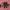 POWER RANGER BANDAI FIGURE SETS photo 1